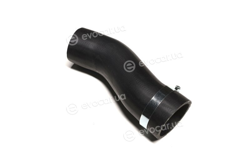 Sasic 3330027