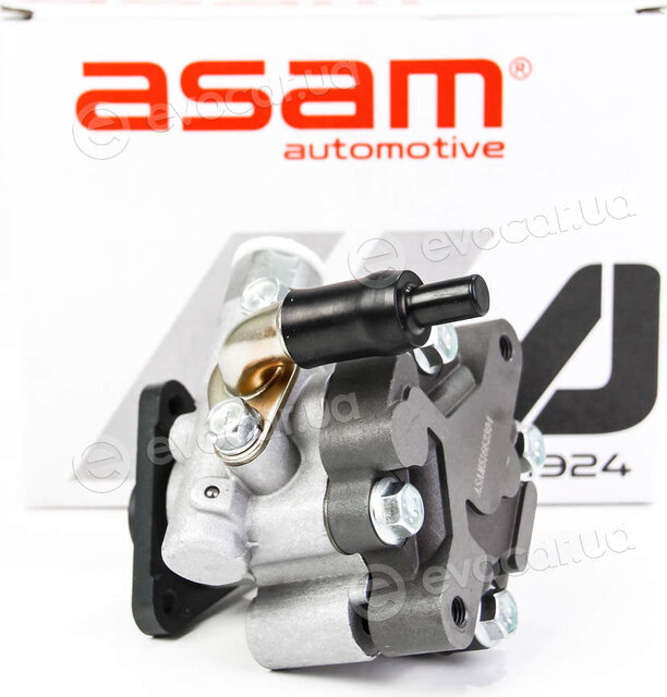 Asam 99391