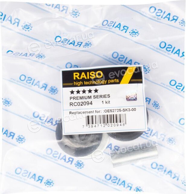 Raiso RC02094