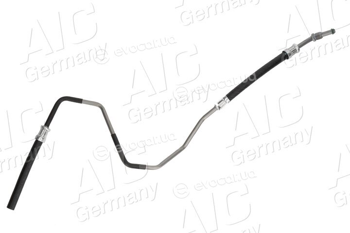 AIC 54955
