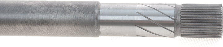 Magneti Marelli 302004190066