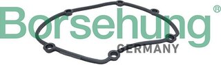 Borsehung B13263