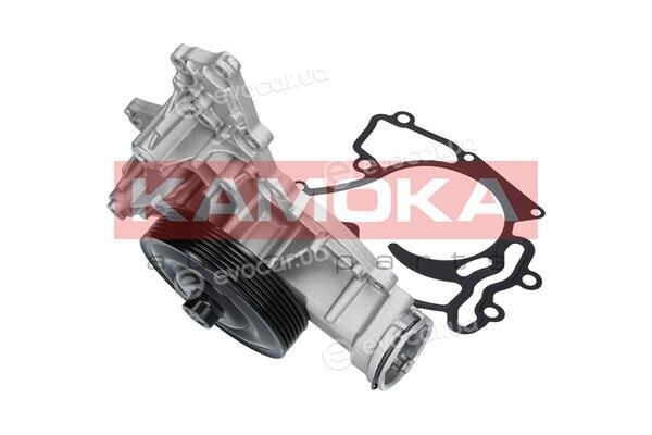 Kamoka T0195