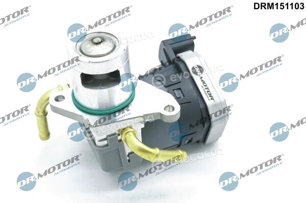 Dr. Motor DRM151103