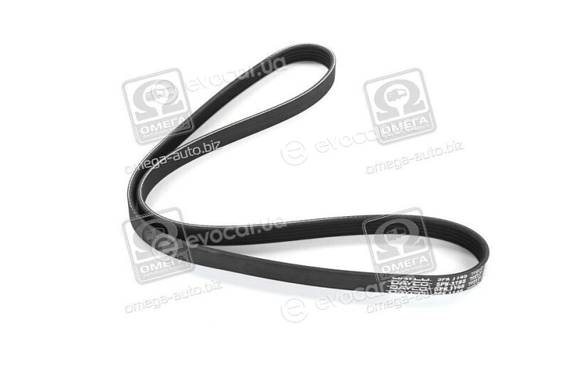 Dayco 5PK1145