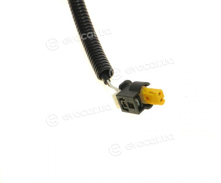 Solgy 115025