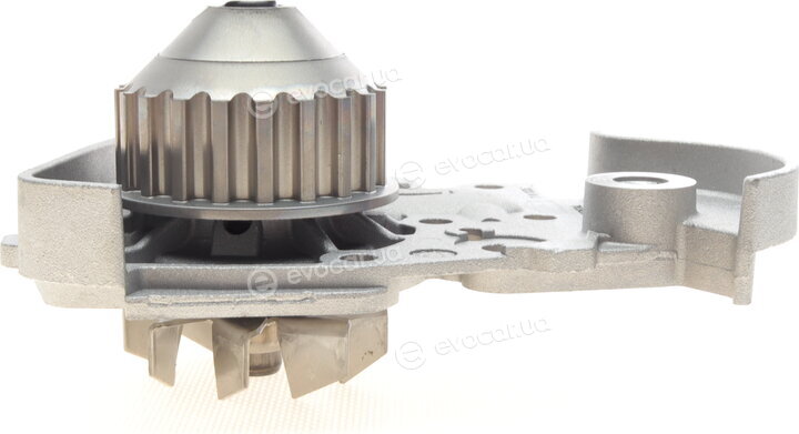 Continental WP6031