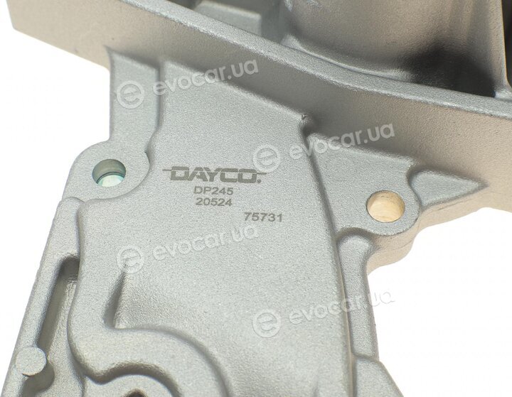 Dayco KTBWP9480