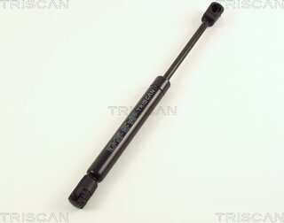 Triscan 8710 29231