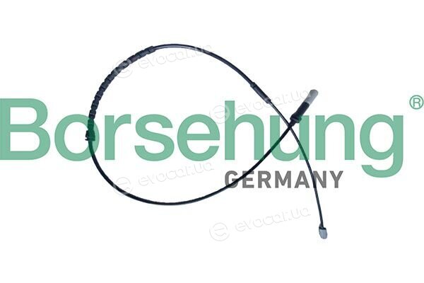 Borsehung B13128
