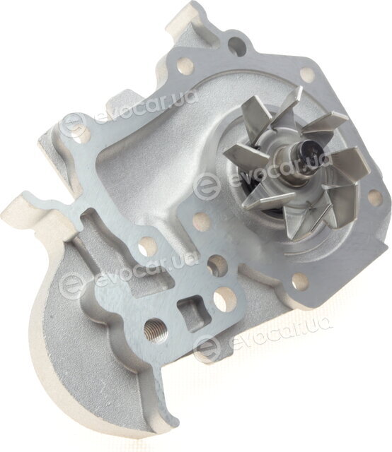 Continental WP6031