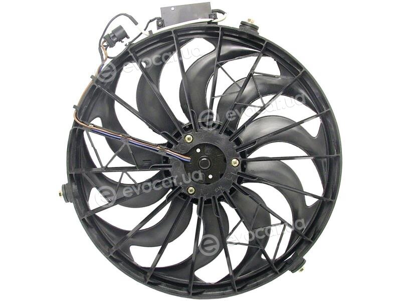 AVA BW7507