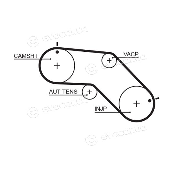 Gates K035309XS