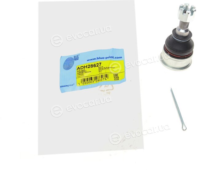 Blue Print ADH28627