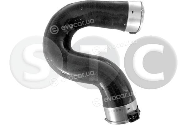 Metalcaucho / STC T498483