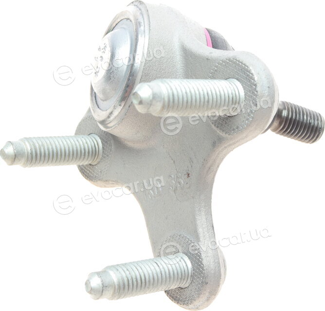 Borsehung B11342