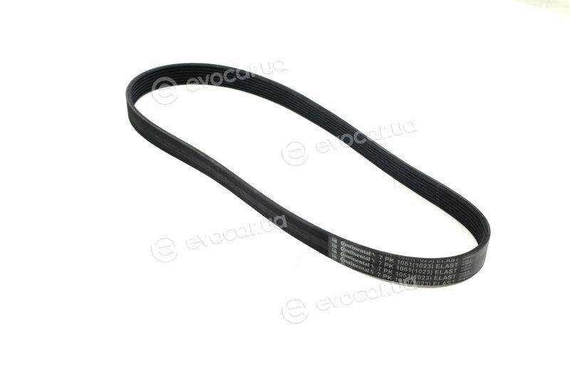 Continental 7PK1051 ELAST