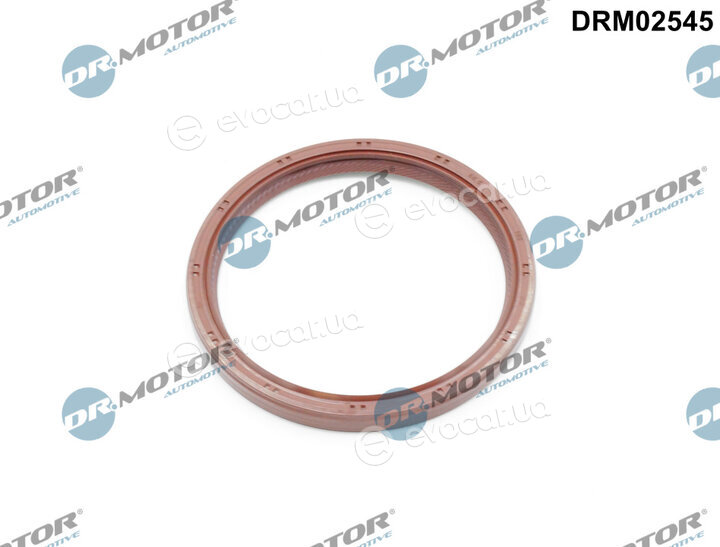 Dr. Motor DRM02545