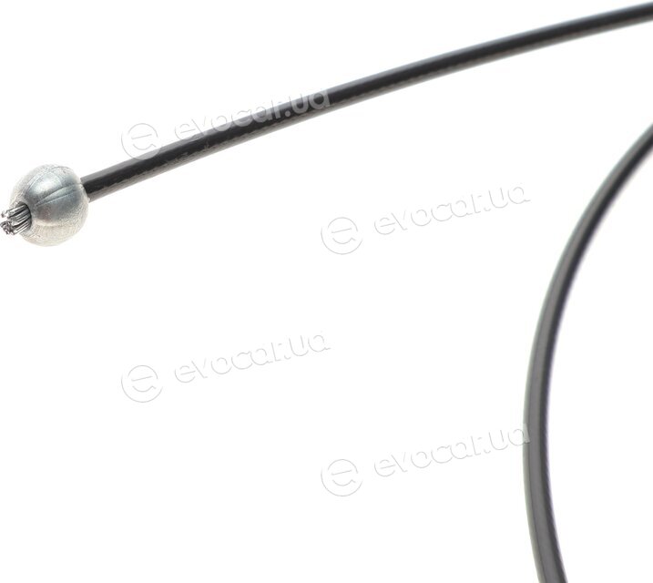 Solgy 219020