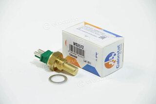 Vernet / Calorstat WS2572