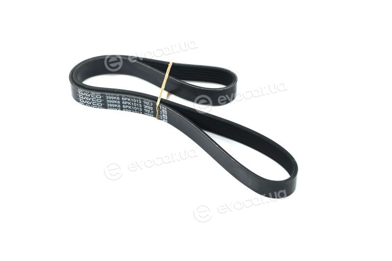 Dayco 6PK1013