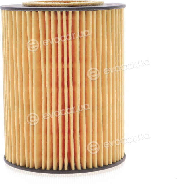 Hengst E106H D34