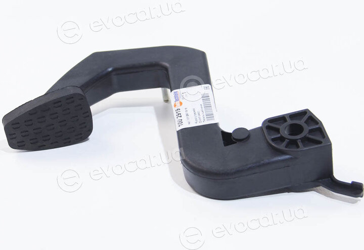 Autotechteile 100 2919