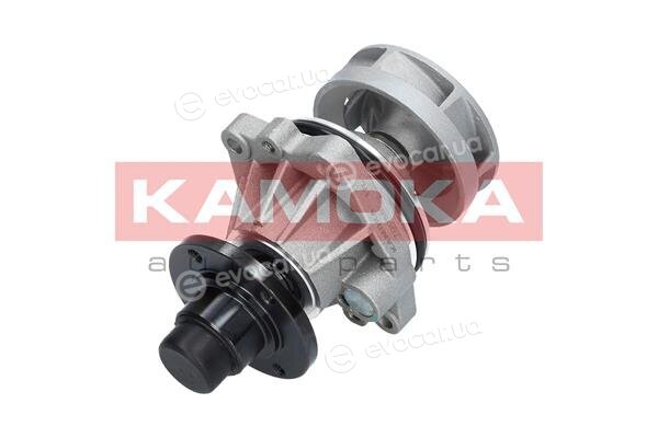 Kamoka T0058