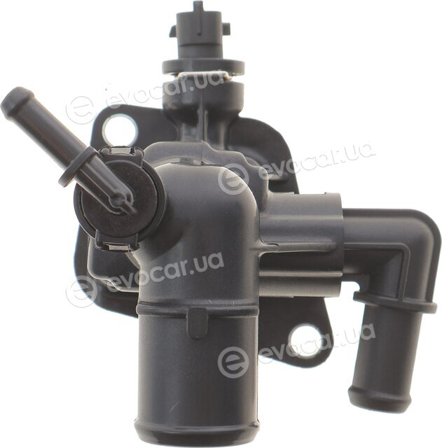 Adler 1607738580