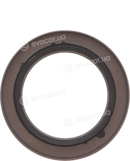 Solgy 216312