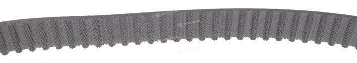 Gates KP55678XS