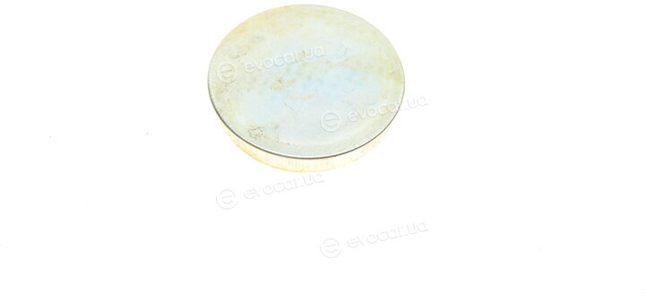 Borsehung B11289