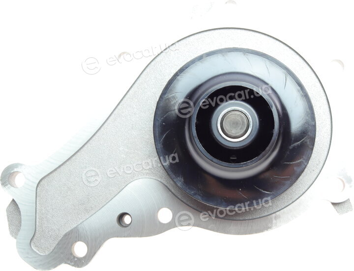 Continental CT1162WP5