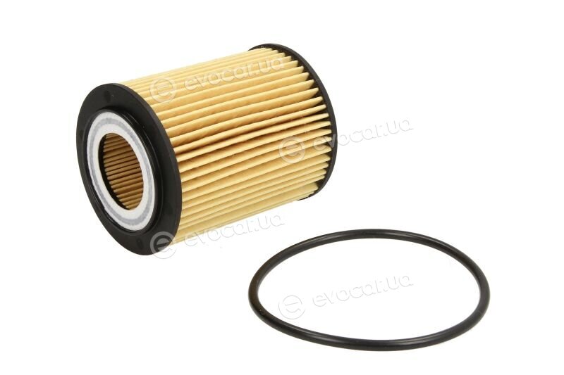 Mahle OX 173/2D