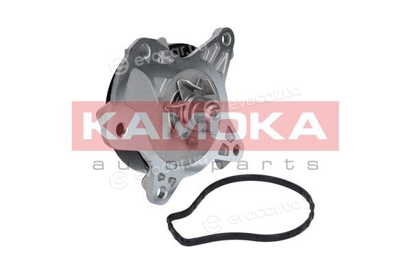 Kamoka T0262