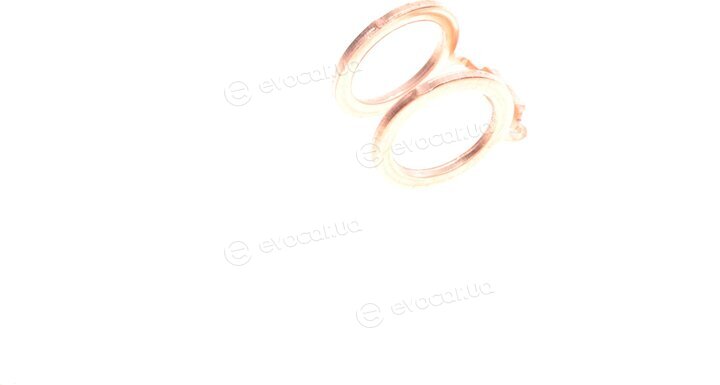Elring 574.840