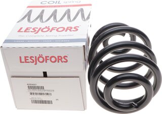 Lesjofors 4295027