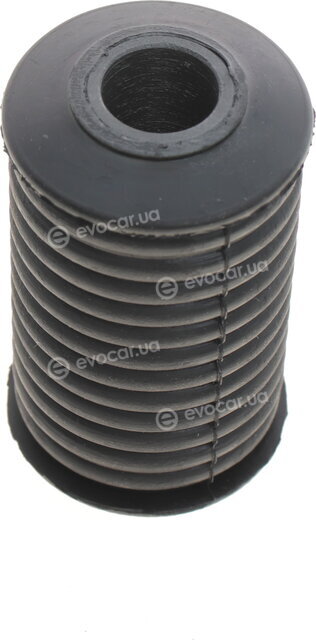 Belgum BG1808