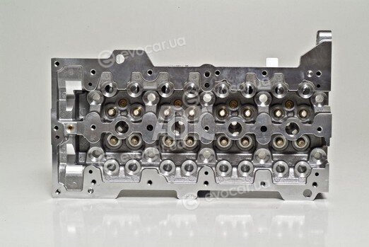 AMC 908556