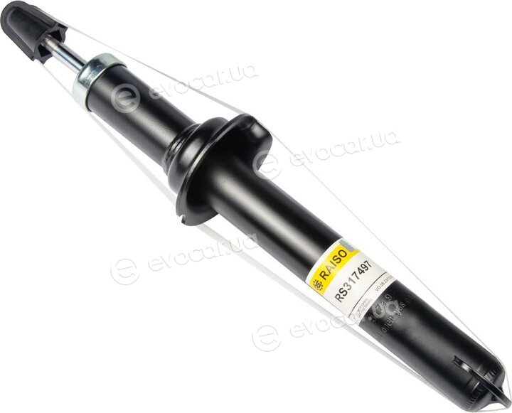 Raiso RS317497
