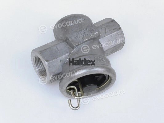 Haldex 310005011