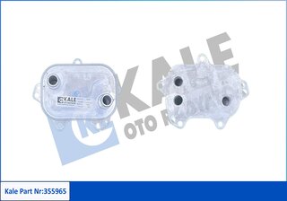 Kale 355965