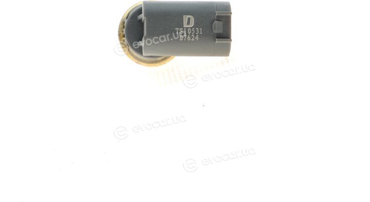 Delphi TS10531
