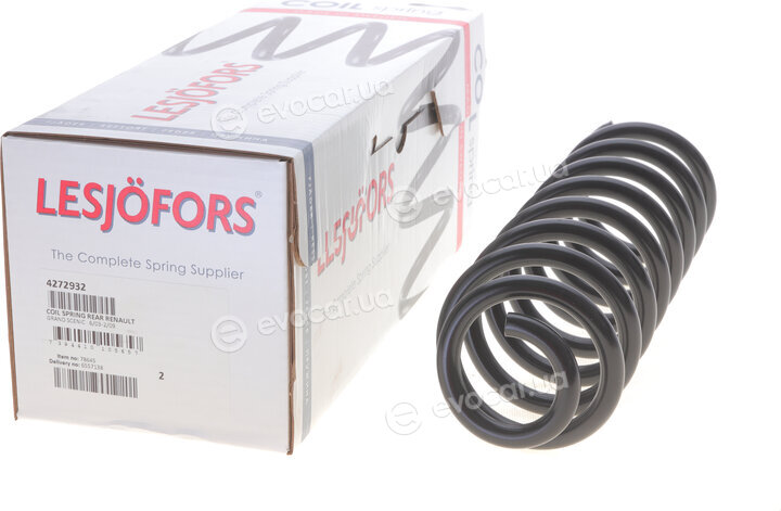 Lesjofors 4272932