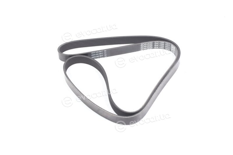 Dayco 6PK1560