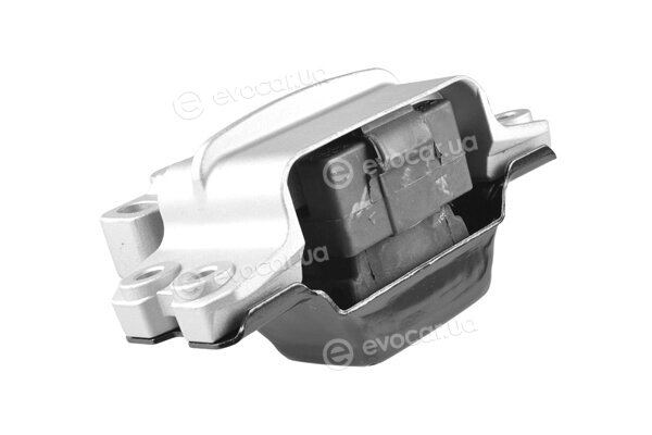 Tedgum TED46010