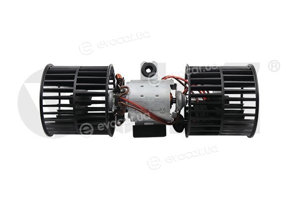 Vika 98190022801