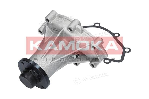 Kamoka T0185