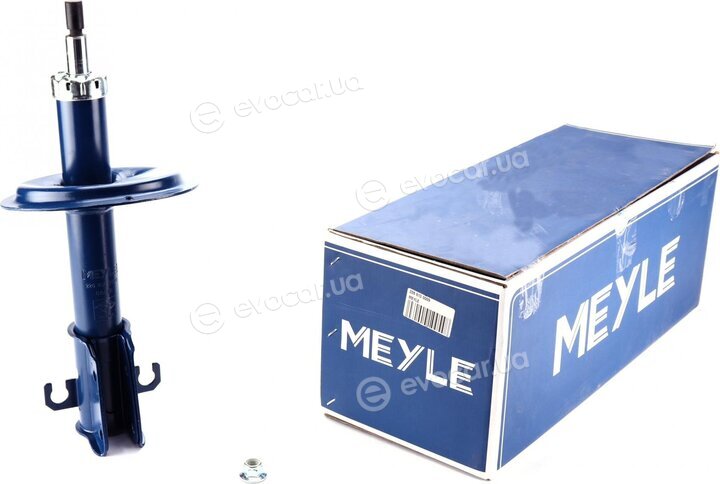 Meyle 226 613 0009