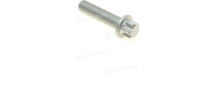 Solgy 216159